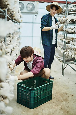 포토 JPG 전신 나무 남자 농업 사진 실내 들기 앉기 상반신 20대 성인 두명 앞모습 옆모습 아웃포커스 친구 상자 바구니 농사 한국인 수확 추수 농촌 시골 농부 귀농 송이버섯 비닐하우스 함 꽃상자 버섯재배 비누갑 성인남자만 소상공인 청년농부 국내포토 양주시 식물 직업 꽃 산업 뷰포인트 관계 모션 촬영기법 사람 동양인 청년 내부 경제 위생용품 버섯 상인 경기도 남자만 성인만 파일형식