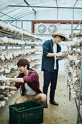 포토 JPG 전신 나무 남자 농업 사진 실내 서기 미소 들기 앉기 상반신 20대 성인 두명 앞모습 아웃포커스 친구 상자 바구니 농사 한국인 수확 추수 농촌 시골 농부 귀농 송이버섯 비닐하우스 함 꽃상자 버섯재배 비누갑 성인남자만 소상공인 청년농부 국내포토 양주시 식물 직업 꽃 산업 뷰포인트 관계 모션 촬영기법 표정 사람 동양인 청년 내부 경제 위생용품 버섯 상인 경기도 남자만 성인만 파일형식