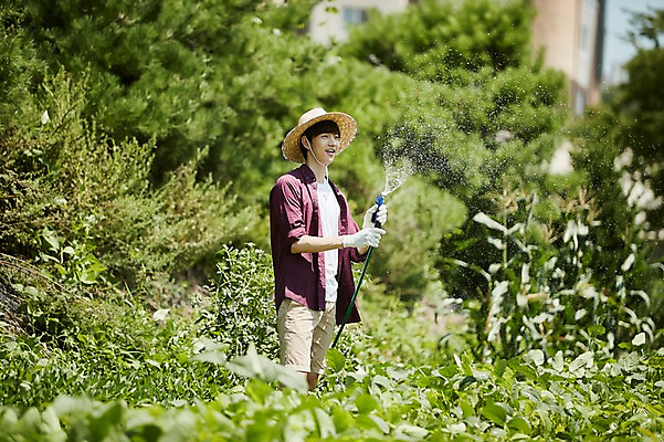 포토 JPG 주간 남자 밭 농업 사진 관리 한명 서기 상반신 20대 성인 야외 옆모습 아웃포커스 농사 한국인 농촌 시골 농부 물주기 귀농 호스 무청 밭일 남자한명만 성인남자한명만 청년농부 국내포토 양주시 자연요소 직업 1 산업 뷰포인트 모션 촬영기법 사람 동양인 청년 경기도 남자만 성인남자만 파일형식