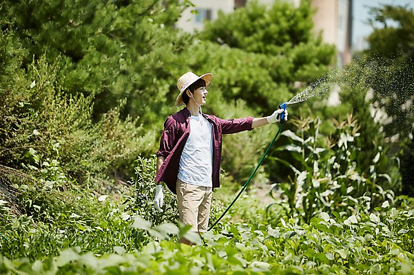 포토 JPG 주간 남자 밭 농업 사진 관리 한명 서기 상반신 20대 성인 야외 옆모습 아웃포커스 농사 한국인 농촌 시골 농부 물주기 귀농 호스 무청 밭일 남자한명만 성인남자한명만 청년농부 국내포토 양주시 자연요소 직업 1 산업 뷰포인트 모션 촬영기법 사람 동양인 청년 경기도 남자만 성인남자만 파일형식