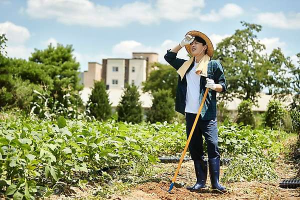 포토 JPG 주간 전신 남자 밭 농업 사진 관리 한명 서기 20대 성인 야외 앞모습 아웃포커스 농사 한국인 농촌 시골 농부 귀농 무청 밭일 쇠스랑 남자한명만 성인남자한명만 청년농부 국내포토 양주시 자연요소 직업 1 산업 뷰포인트 모션 촬영기법 사람 동양인 청년 경기도 남자만 성인남자만 파일형식