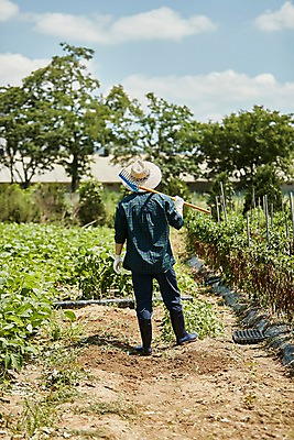 포토 JPG 주간 전신 남자 밭 농업 사진 관리 한명 서기 들기 20대 성인 야외 뒷모습 아웃포커스 농사 한국인 농촌 시골 농부 귀농 밭일 쇠스랑 남자한명만 성인남자한명만 청년농부 국내포토 양주시 자연요소 직업 1 산업 뷰포인트 모션 촬영기법 사람 동양인 청년 경기도 남자만 성인남자만 파일형식