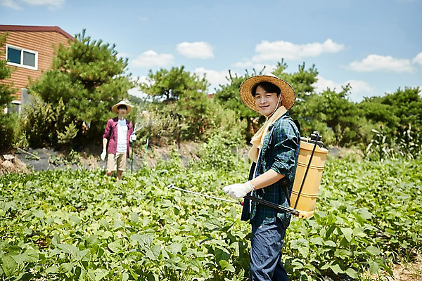 포토 JPG 주간 남자 밭 농업 사진 관리 서기 미소 들기 상반신 20대 성인 야외 두명 앞모습 옆모습 아웃포커스 친구 농사 한국인 농촌 시골 농부 귀농 농약 농약살포기 농약치기 무청 밭일 성인남자만 청년농부 국내포토 양주시 자연요소 직업 산업 뷰포인트 관계 모션 촬영기법 표정 사람 동양인 청년 분무기 경기도 남자만 성인만 파일형식