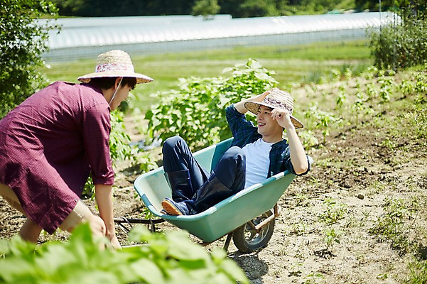 포토 JPG 주간 남자 밭 농업 장난 사진 서기 미소 앉기 상반신 20대 성인 야외 두명 옆모습 아웃포커스 친구 농사 수레 한국인 농촌 시골 농부 귀농 짐수레 성인남자만 청년농부 국내포토 양주시 자연요소 직업 산업 뷰포인트 관계 모션 촬영기법 표정 사람 동양인 청년 카트 경기도 남자만 성인만 파일형식