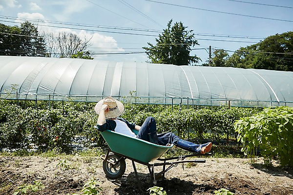 포토 JPG 주간 전신 남자 여유 밭 농업 사진 휴식 한명 앉기 20대 성인 야외 옆모습 아웃포커스 농사 수레 한국인 농촌 시골 농부 귀농 요양 짐수레 남자한명만 성인남자한명만 청년농부 국내포토 양주시 자연요소 직업 1 감정 산업 뷰포인트 컨셉 모션 촬영기법 사람 동양인 청년 카트 간호 경기도 남자만 성인남자만 파일형식