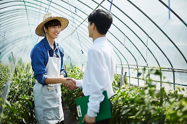 포토 JPG 남자 밭 농업 사진 악수 실내 서기 미소 상반신 20대 성인 두명 옆모습 아웃포커스 농사 한국인 농촌 시골 인사 농부 귀농 비닐하우스 고추밭 밭일 성인남자만 소상공인 청년농부 국내포토 양주시 직업 산업 뷰포인트 모션 촬영기법 표정 사람 동양인 손짓 청년 내부 경제 예절 상인 경기도 남자만 성인만 파일형식