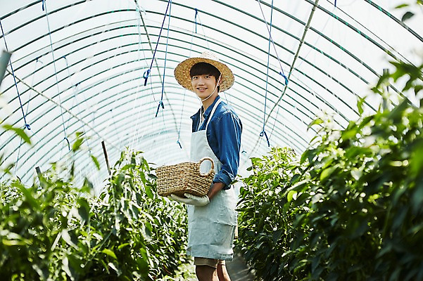 포토 JPG 남자 밭 농업 사진 고추 실내 한명 서기 미소 들기 상반신 20대 성인 옆모습 아웃포커스 바구니 농사 한국인 수확 추수 농촌 시골 농부 귀농 비닐하우스 고추밭 밭일 남자한명만 성인남자한명만 소상공인 청년농부 국내포토 양주시 직업 1 산업 뷰포인트 채소 모션 촬영기법 표정 사람 동양인 청년 내부 경제 상인 경기도 남자만 성인남자만 파일형식