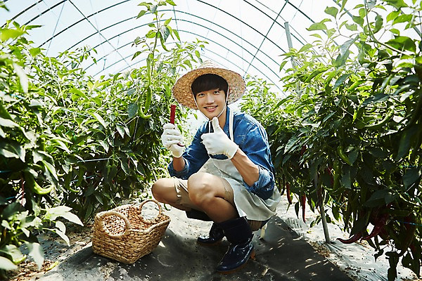 포토 JPG 전신 남자 밭 농업 사진 고추 실내 한명 미소 앉기 20대 성인 옆모습 아웃포커스 바구니 농사 한국인 수확 추수 농촌 시골 최고 농부 귀농 비닐하우스 고추밭 밭일 남자한명만 성인남자한명만 소상공인 청년농부 국내포토 양주시 직업 1 산업 뷰포인트 채소 모션 촬영기법 표정 사람 동양인 청년 내부 경제 상인 경기도 남자만 성인남자만 파일형식