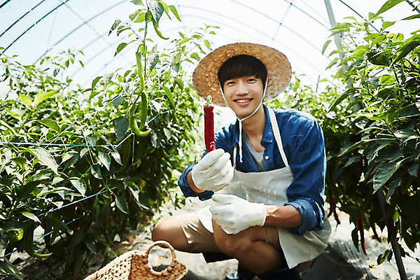 포토 JPG 전신 남자 밭 농업 사진 고추 실내 한명 미소 들기 앉기 20대 성인 옆모습 아웃포커스 바구니 농사 한국인 수확 추수 농촌 시골 농부 귀농 비닐하우스 고추밭 밭일 남자한명만 성인남자한명만 소상공인 청년농부 국내포토 양주시 직업 1 산업 뷰포인트 채소 모션 촬영기법 표정 사람 동양인 청년 내부 경제 상인 경기도 남자만 성인남자만 파일형식