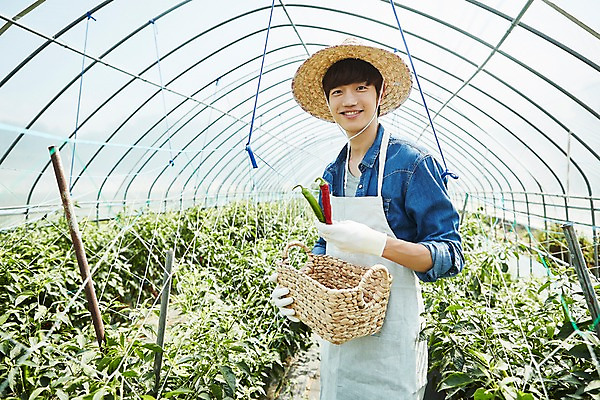 포토 JPG 남자 밭 농업 사진 고추 실내 한명 서기 미소 들기 상반신 20대 성인 옆모습 아웃포커스 바구니 농사 한국인 수확 추수 농촌 시골 농부 귀농 비닐하우스 고추밭 밭일 남자한명만 성인남자한명만 소상공인 청년농부 국내포토 양주시 직업 1 산업 뷰포인트 채소 모션 촬영기법 표정 사람 동양인 청년 내부 경제 상인 경기도 남자만 성인남자만 파일형식 한국 인종 성인만 아시아 나라