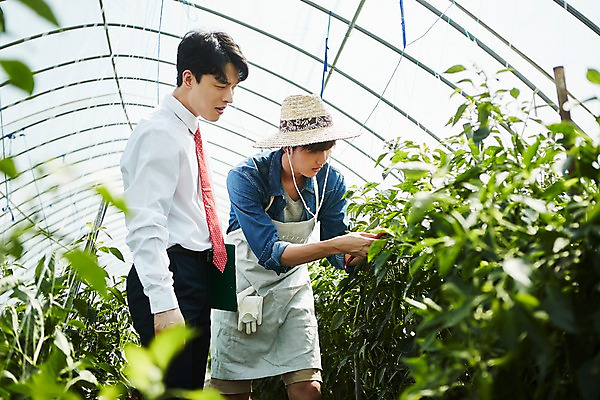포토 JPG 남자 밭 농업 사진 고추 실내 서기 미소 상반신 20대 성인 두명 앞모습 옆모습 아웃포커스 농사 한국인 수확 추수 농촌 시골 농부 귀농 비닐하우스 고추밭 밭일 남자만 성인남자만 소상공인 청년농부 국내포토 양주시 직업 산업 뷰포인트 채소 모션 촬영기법 표정 사람 동양인 청년 내부 경제 상인 경기도 성인만 파일형식
