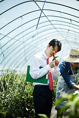 포토 JPG 남자 밭 농업 사진 고추 실내 서기 들기 상반신 20대 성인 두명 옆모습 아웃포커스 농사 한국인 수확 추수 농촌 시골 농부 파일 귀농 비닐하우스 고추밭 밭일 서류파일 남자만 성인남자만 소상공인 청년농부 국내포토 양주시 직업 산업 뷰포인트 채소 모션 촬영기법 사람 동양인 청년 내부 경제 사무용품 상인 경기도 성인만 파일형식