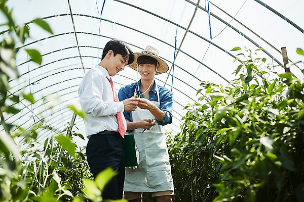 포토 JPG 남자 밭 농업 사진 고추 실내 서기 미소 상반신 20대 성인 두명 앞모습 옆모습 아웃포커스 농사 한국인 수확 추수 농촌 시골 농부 파일 귀농 비닐하우스 고추밭 밭일 서류파일 남자만 성인남자만 소상공인 청년농부 국내포토 양주시 직업 산업 뷰포인트 채소 모션 촬영기법 표정 사람 동양인 청년 내부 경제 사무용품 상인 경기도 성인만 파일형식