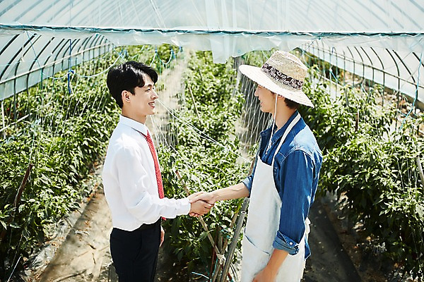 포토 JPG 남자 밭 농업 사진 악수 실내 서기 미소 상반신 20대 성인 두명 옆모습 아웃포커스 농사 한국인 수확 농촌 시골 농부 귀농 비닐하우스 고추밭 밭일 성인남자만 소상공인 청년농부 국내포토 양주시 직업 산업 뷰포인트 모션 촬영기법 표정 사람 동양인 손짓 청년 내부 경제 상인 경기도 남자만 성인만 파일형식