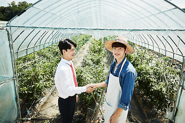 포토 JPG 남자 밭 농업 사진 악수 실내 서기 미소 상반신 20대 성인 두명 옆모습 아웃포커스 농사 한국인 수확 농촌 시골 농부 귀농 비닐하우스 고추밭 밭일 성인남자만 소상공인 청년농부 국내포토 양주시 직업 산업 뷰포인트 모션 촬영기법 표정 사람 동양인 손짓 청년 내부 경제 상인 경기도 남자만 성인만 파일형식