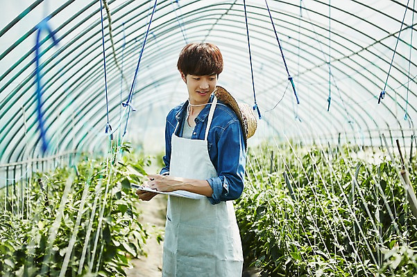 포토 JPG 남자 밭 농업 사진 실내 한명 서기 미소 들기 상반신 20대 성인 앞모습 아웃포커스 농사 한국인 수확 추수 농촌 시골 농부 파일 귀농 비닐하우스 고추밭 밭일 서류파일 남자한명만 성인남자한명만 소상공인 청년농부 국내포토 양주시 직업 1 산업 뷰포인트 모션 촬영기법 표정 사람 동양인 청년 내부 경제 사무용품 상인 경기도 남자만 성인남자만 파일형식