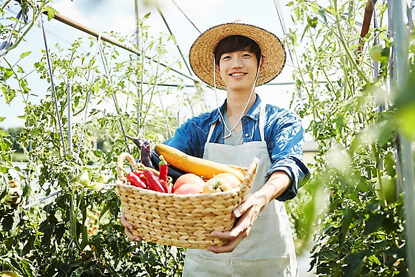 포토 JPG 남자 밭 농업 사진 실내 한명 서기 미소 들기 상반신 20대 성인 앞모습 아웃포커스 농작물 바구니 농사 한국인 수확 추수 농촌 시골 농부 귀농 비닐하우스 밭일 남자한명만 성인남자한명만 소상공인 청년농부 국내포토 양주시 직업 1 산업 뷰포인트 모션 촬영기법 표정 사람 동양인 청년 내부 경제 상인 경기도 남자만 성인남자만 파일형식
