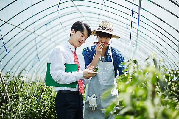 포토 JPG 남자 밭 농업 사진 고추 실내 서기 미소 들기 상반신 20대 성인 두명 앞모습 옆모습 아웃포커스 농사 한국인 수확 추수 농촌 시골 농부 파일 향기 냄새 귀농 비닐하우스 고추밭 밭일 서류파일 남자만 성인남자만 소상공인 청년농부 국내포토 양주시 직업 산업 뷰포인트 채소 모션 촬영기법 표정 사람 동양인 청년 내부 경제 사무용품 상인 경기도 성인만 파일형식