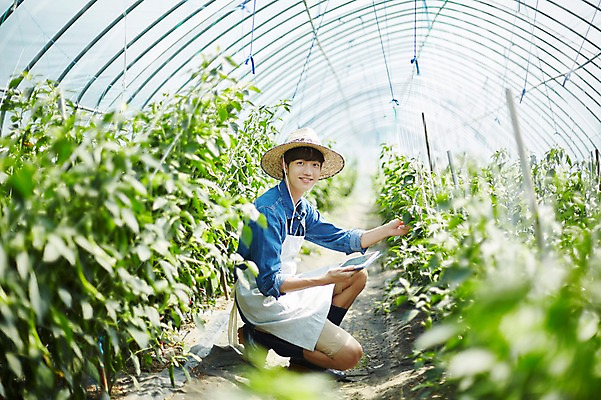 포토 JPG 전신 남자 밭 농업 사진 고추 실내 한명 미소 앉기 20대 성인 옆모습 아웃포커스 농사 한국인 수확 추수 농촌 시골 농부 귀농 비닐하우스 고추밭 밭일 남자한명만 성인남자한명만 소상공인 청년농부 국내포토 양주시 직업 1 산업 뷰포인트 채소 모션 촬영기법 표정 사람 동양인 청년 내부 경제 상인 경기도 남자만 성인남자만 파일형식