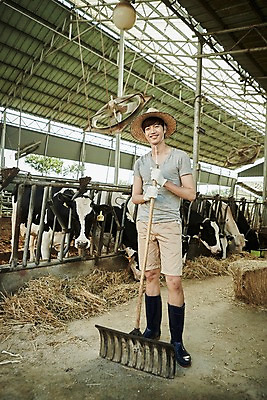 포토 JPG 주간 전신 남자 사진 한명 서기 미소 20대 성인 야외 앞모습 아웃포커스 한국인 농촌 시골 소 건초 볏짚 농부 귀농 외양간 성인남자한명만 청년농부 국내포토 양주시 자연요소 직업 1 뷰포인트 농업 포유류 모션 촬영기법 표정 사람 동양인 청년 짚 경기도 남자한명만 성인남자만 파일형식