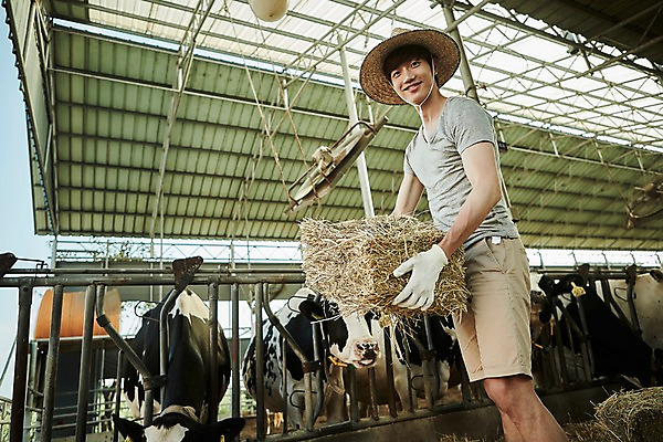 포토 JPG 주간 남자 사진 한명 서기 미소 들기 상반신 20대 성인 야외 옆모습 아웃포커스 한국인 농촌 시골 소 건초더미 농부 귀농 외양간 성인남자한명만 청년농부 국내포토 양주시 자연요소 직업 1 뷰포인트 농업 포유류 모션 촬영기법 표정 사람 동양인 청년 건초 경기도 남자한명만 성인남자만 파일형식 더미