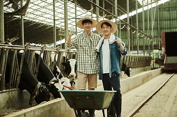 포토 JPG 주간 남자 사진 응원 서기 미소 상반신 20대 성인 야외 두명 앞모습 아웃포커스 친구 파이팅 수레 한국인 농촌 시골 소 농부 귀농 외양간 성인남자만 청년농부 국내포토 양주시 자연요소 직업 뷰포인트 농업 포유류 관계 모션 촬영기법 표정 사람 동양인 청년 카트 경기도 남자만 성인만 파일형식 동물 산업 한국 인종 아시아 나라