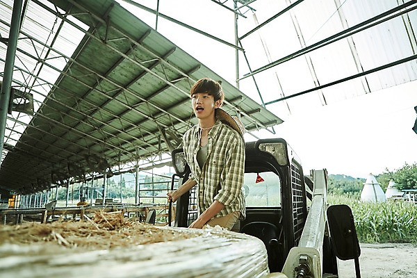 포토 JPG 주간 남자 사진 한명 서기 상반신 20대 성인 야외 앞모습 아웃포커스 한국인 농촌 시골 건초더미 농부 귀농 지게차 헛간 외양간 남자한명만 성인남자한명만 청년농부 국내포토 양주시 자연요소 직업 1 뷰포인트 농업 모션 촬영기법 사람 동양인 청년 중장비 건초 저장고 경기도 남자만 성인남자만 파일형식 더미