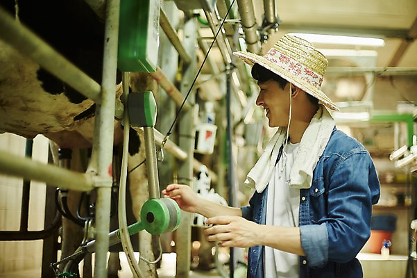 포토 JPG 주간 남자 사진 한명 서기 미소 상반신 20대 성인 야외 옆모습 아웃포커스 한국인 농촌 시골 소 농부 귀농 외양간 성인남자한명만 착유 청년농부 국내포토 양주시 자연요소 직업 1 뷰포인트 농업 포유류 모션 촬영기법 표정 사람 동양인 청년 경기도 남자한명만 성인남자만 파일형식