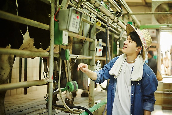 포토 JPG 주간 남자 사진 한명 서기 미소 상반신 20대 성인 야외 옆모습 아웃포커스 한국인 농촌 시골 소 농부 귀농 외양간 성인남자한명만 착유 청년농부 국내포토 양주시 자연요소 직업 1 뷰포인트 농업 포유류 모션 촬영기법 표정 사람 동양인 청년 경기도 남자한명만 성인남자만 파일형식