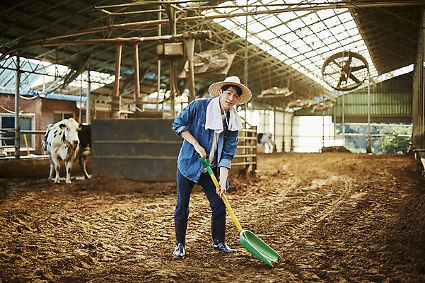 포토 JPG 주간 전신 남자 사진 한명 서기 들기 20대 성인 야외 앞모습 아웃포커스 한국인 농촌 시골 소 농부 청소 삽 정리 귀농 외양간 소우리 성인남자한명만 청년농부 국내포토 양주시 자연요소 직업 1 뷰포인트 농업 포유류 모션 촬영기법 사람 동양인 청년 경기도 남자한명만 성인남자만 파일형식