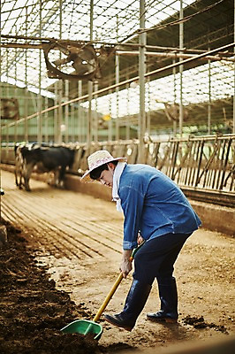 포토 JPG 주간 전신 남자 사진 한명 서기 들기 20대 성인 야외 옆모습 아웃포커스 한국인 농촌 시골 소 농부 청소 삽 정리 귀농 외양간 소우리 성인남자한명만 청년농부 국내포토 양주시 자연요소 직업 1 뷰포인트 농업 포유류 모션 촬영기법 사람 동양인 청년 경기도 남자한명만 성인남자만 파일형식