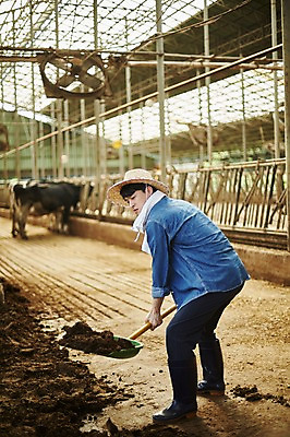 포토 JPG 주간 전신 남자 사진 한명 서기 들기 20대 성인 야외 옆모습 아웃포커스 한국인 농촌 시골 소 농부 청소 삽 정리 귀농 외양간 소우리 성인남자한명만 청년농부 국내포토 양주시 자연요소 직업 1 뷰포인트 농업 포유류 모션 촬영기법 사람 동양인 청년 경기도 남자한명만 성인남자만 파일형식
