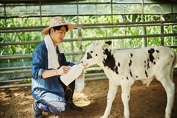 포토 JPG 주간 전신 남자 사진 한명 미소 앉기 20대 성인 야외 옆모습 아웃포커스 한국인 우유 농촌 시골 농부 귀농 종아리 젖 흰우유 헛간 송아지 외양간 남자한명만 성인남자한명만 청년농부 국내포토 양주시 자연요소 직업 1 새끼 뷰포인트 농업 모션 유제품 촬영기법 표정 사람 동양인 청년 신체부위 소 저장고 경기도 남자만 성인남자만 파일형식