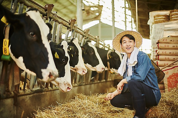 포토 JPG 주간 남자 사진 한명 미소 앉기 상반신 20대 성인 야외 옆모습 아웃포커스 한국인 농촌 시골 소 건초 볏짚 농부 먹이 귀농 여물 외양간 성인남자한명만 청년농부 국내포토 양주시 자연요소 직업 1 뷰포인트 농업 포유류 모션 촬영기법 표정 사람 동양인 청년 짚 경기도 남자한명만 성인남자만 파일형식