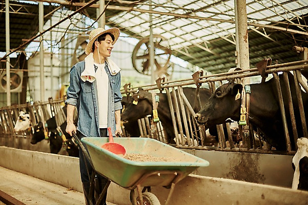 포토 JPG 주간 남자 사진 한명 서기 상반신 20대 성인 야외 옆모습 아웃포커스 수레 한국인 농촌 시골 소 농부 먹이 귀농 바가지 여물 외양간 여물통 성인남자한명만 청년농부 국내포토 양주시 자연요소 직업 1 뷰포인트 농업 포유류 모션 촬영기법 사람 동양인 청년 카트 경기도 남자한명만 성인남자만 파일형식