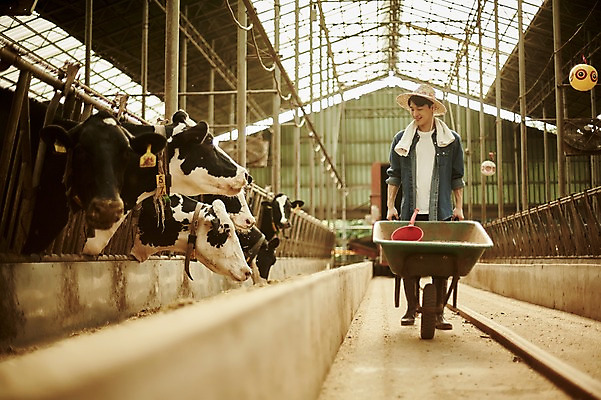 포토 JPG 주간 전신 남자 사진 한명 서기 미소 20대 성인 야외 앞모습 아웃포커스 수레 한국인 농촌 시골 소 농부 귀농 바가지 외양간 여물통 성인남자한명만 청년농부 국내포토 양주시 자연요소 직업 1 뷰포인트 농업 포유류 모션 촬영기법 표정 사람 동양인 청년 카트 경기도 남자한명만 성인남자만 파일형식