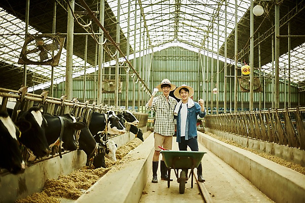 포토 JPG 주간 전신 남자 사진 응원 서기 미소 20대 성인 야외 두명 앞모습 아웃포커스 친구 파이팅 수레 한국인 농촌 시골 소 농부 먹이 귀농 여물 외양간 여물통 성인남자만 청년농부 국내포토 양주시 자연요소 직업 뷰포인트 농업 포유류 관계 모션 촬영기법 표정 사람 동양인 청년 카트 경기도 남자만 성인만 파일형식