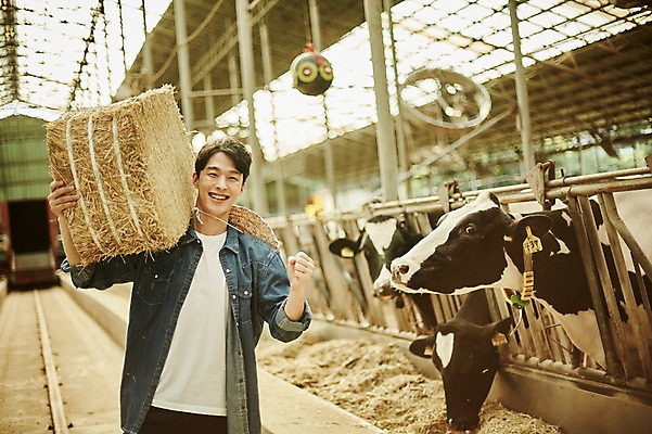 포토 JPG 주간 남자 사진 응원 한명 서기 미소 상반신 20대 성인 야외 앞모습 아웃포커스 파이팅 한국인 농촌 시골 소 건초더미 농부 귀농 외양간 성인남자한명만 청년농부 국내포토 양주시 자연요소 직업 1 뷰포인트 농업 포유류 모션 촬영기법 표정 사람 동양인 청년 건초 경기도 남자한명만 성인남자만 파일형식 더미