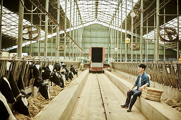 포토 JPG 주간 전신 남자 사진 한명 앉기 20대 성인 야외 옆모습 아웃포커스 한국인 농촌 시골 소 건초더미 농부 귀농 외양간 성인남자한명만 청년농부 국내포토 양주시 자연요소 직업 1 뷰포인트 농업 포유류 모션 촬영기법 사람 동양인 청년 건초 경기도 남자한명만 성인남자만 파일형식 더미