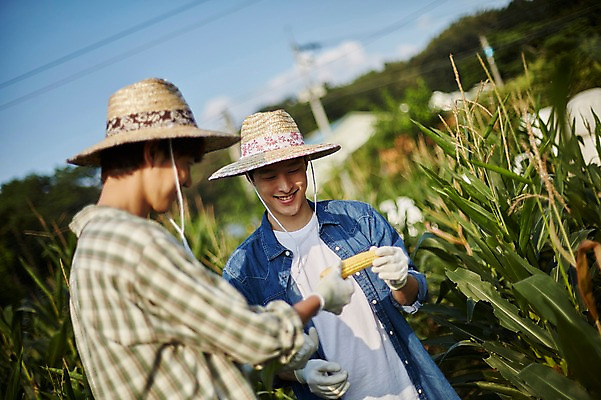포토 JPG 주간 남자 농업 사진 옥수수 서기 미소 들기 상반신 20대 성인 야외 두명 앞모습 옆모습 아웃포커스 친구 농사 한국인 농촌 시골 농부 귀농 옥수수밭 성인남자만 청년농부 국내포토 양주시 자연요소 직업 산업 뷰포인트 밭 관계 모션 곡류 촬영기법 표정 사람 동양인 청년 경기도 남자만 성인만 파일형식