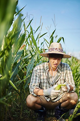 포토 JPG 주간 남자 농업 사진 옥수수 한명 들기 앉기 상반신 20대 성인 야외 앞모습 아웃포커스 농사 한국인 농촌 시골 농부 고민 귀농 옥수수밭 남자한명만 성인남자한명만 청년농부 국내포토 양주시 자연요소 직업 1 감정 산업 뷰포인트 밭 모션 곡류 촬영기법 사람 동양인 청년 경기도 남자만 성인남자만 파일형식