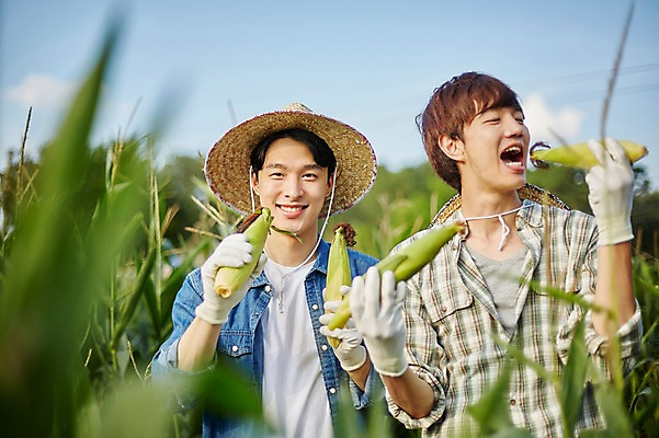 포토 JPG 주간 남자 농업 장난 사진 옥수수 서기 미소 들기 상반신 20대 성인 야외 두명 앞모습 아웃포커스 친구 농사 한국인 농촌 시골 농부 귀농 옥수수밭 성인남자만 청년농부 국내포토 양주시 자연요소 직업 산업 뷰포인트 밭 관계 모션 곡류 촬영기법 표정 사람 동양인 청년 경기도 남자만 성인만 파일형식 한국 인종 아시아 나라