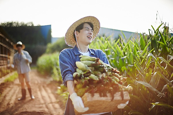 포토 JPG 주간 전신 남자 농업 사진 옥수수 서기 들기 상반신 20대 성인 야외 두명 앞모습 아웃포커스 친구 농사 한국인 농촌 시골 농부 귀농 옥수수밭 성인남자만 청년농부 국내포토 양주시 자연요소 직업 산업 뷰포인트 밭 관계 모션 곡류 촬영기법 사람 동양인 청년 경기도 남자만 성인만 파일형식