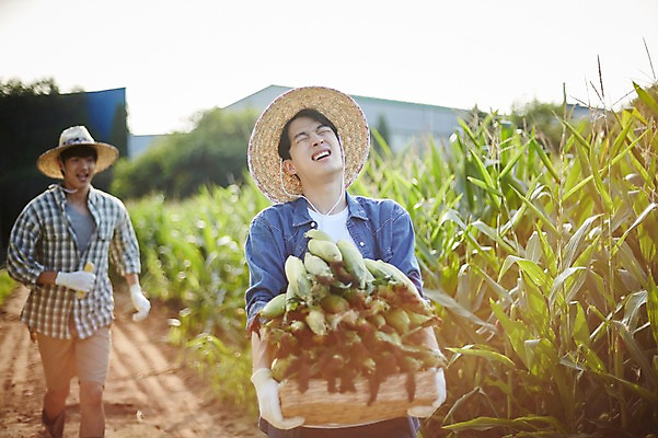 포토 JPG 주간 남자 농업 사진 옥수수 서기 들기 상반신 20대 성인 야외 두명 앞모습 아웃포커스 친구 농사 한국인 농촌 시골 농부 귀농 옥수수밭 성인남자만 청년농부 국내포토 양주시 자연요소 직업 산업 뷰포인트 밭 관계 모션 곡류 촬영기법 사람 동양인 청년 경기도 남자만 성인만 파일형식
