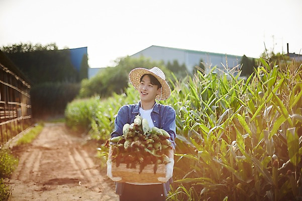 포토 JPG 주간 남자 농업 사진 옥수수 한명 서기 미소 들기 상반신 20대 성인 야외 앞모습 아웃포커스 농사 한국인 농촌 시골 농부 귀농 옥수수밭 남자한명만 성인남자한명만 청년농부 국내포토 양주시 자연요소 직업 1 산업 뷰포인트 밭 모션 곡류 촬영기법 표정 사람 동양인 청년 경기도 남자만 성인남자만 파일형식