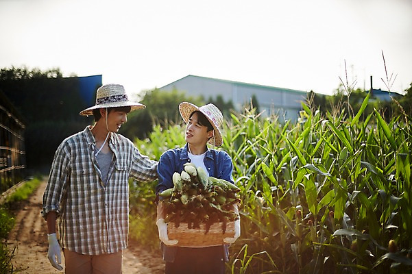 포토 JPG 주간 남자 농업 사진 옥수수 서기 미소 들기 상반신 20대 성인 야외 두명 앞모습 아웃포커스 친구 농사 한국인 농촌 시골 도움 농부 귀농 옥수수밭 부축 성인남자만 소상공인 청년농부 국내포토 양주시 자연요소 직업 산업 뷰포인트 컨셉 밭 관계 모션 곡류 촬영기법 표정 사람 동양인 청년 경제 상인 경기도 남자만 성인만 파일형식