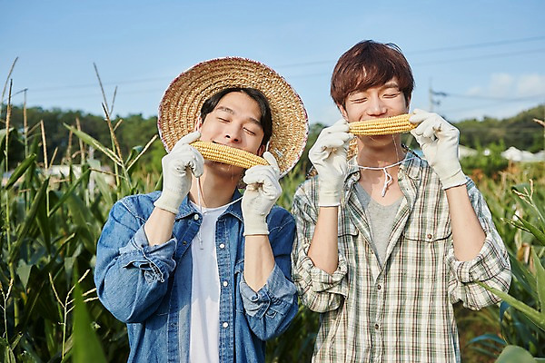 포토 JPG 주간 남자 농업 장난 사진 옥수수 서기 미소 들기 상반신 20대 성인 야외 두명 앞모습 아웃포커스 친구 농사 한국인 농촌 시골 농부 귀농 옥수수밭 성인남자만 청년농부 국내포토 양주시 자연요소 직업 산업 뷰포인트 밭 관계 모션 곡류 촬영기법 표정 사람 동양인 청년 경기도 남자만 성인만 파일형식