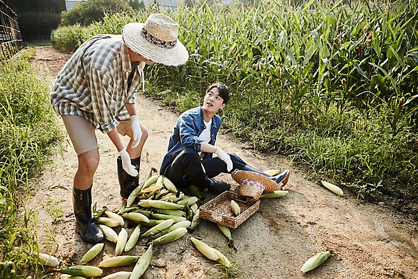 포토 JPG 주간 전신 남자 농업 사진 옥수수 서기 앉기 20대 성인 야외 두명 옆모습 아웃포커스 친구 농사 한국인 농촌 시골 떨어짐 농부 귀농 실수 옥수수밭 넘어짐 성인남자만 청년농부 국내포토 양주시 자연요소 직업 산업 뷰포인트 컨셉 밭 관계 모션 곡류 촬영기법 사람 동양인 청년 경기도 남자만 성인만 파일형식