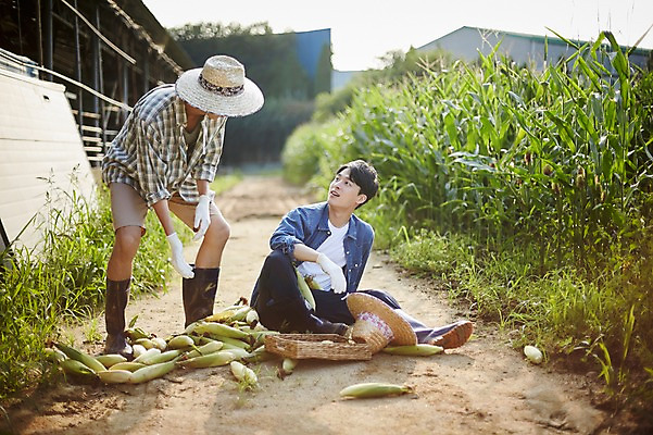 포토 JPG 주간 전신 남자 농업 사진 옥수수 서기 앉기 20대 성인 야외 두명 앞모습 아웃포커스 친구 농사 한국인 농촌 시골 떨어짐 농부 귀농 실수 옥수수밭 넘어짐 성인남자만 청년농부 국내포토 양주시 자연요소 직업 산업 뷰포인트 컨셉 밭 관계 모션 곡류 촬영기법 사람 동양인 청년 경기도 남자만 성인만 파일형식