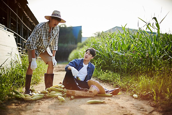 포토 JPG 주간 전신 남자 농업 사진 옥수수 서기 앉기 20대 성인 야외 두명 앞모습 아웃포커스 친구 농사 한국인 농촌 시골 떨어짐 농부 귀농 실수 옥수수밭 넘어짐 성인남자만 청년농부 국내포토 양주시 자연요소 직업 산업 뷰포인트 컨셉 밭 관계 모션 곡류 촬영기법 사람 동양인 청년 경기도 남자만 성인만 파일형식